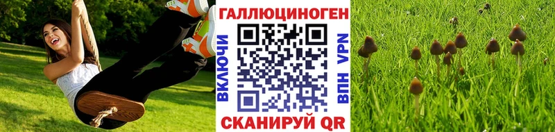 Купить закладки  Сургут  Псилоцибиновые грибы прущие грибы 